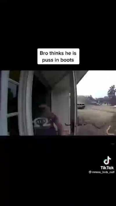 Puss in boots return of shrek