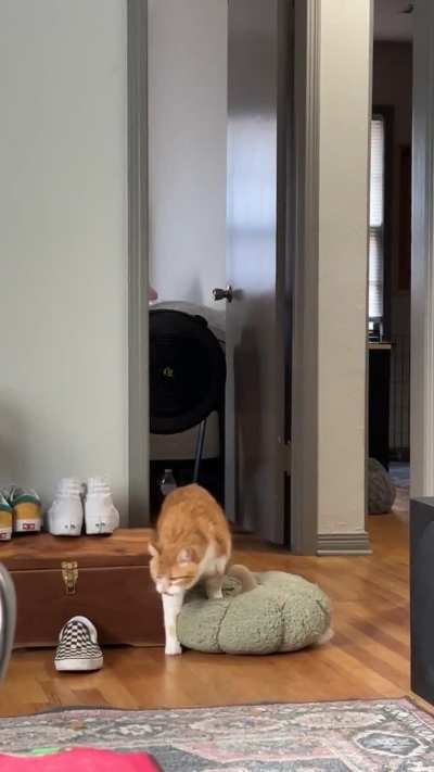 You know he got that pillow if he’s yelling