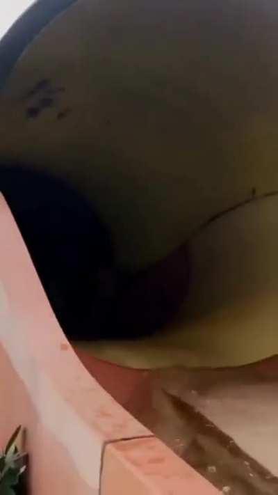 Find someone na never kang bibitawan