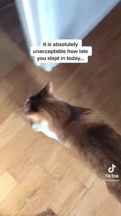 I love bean (cred: @beautynthebean)