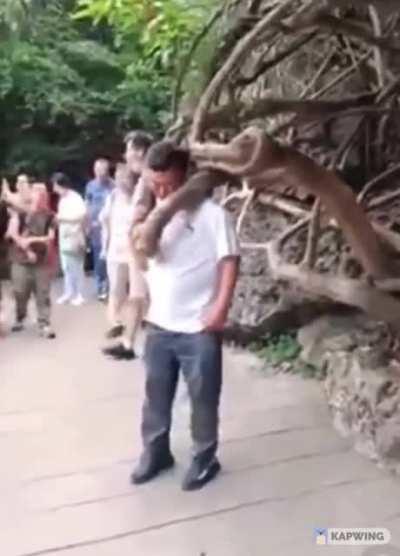 using tree branch for photo