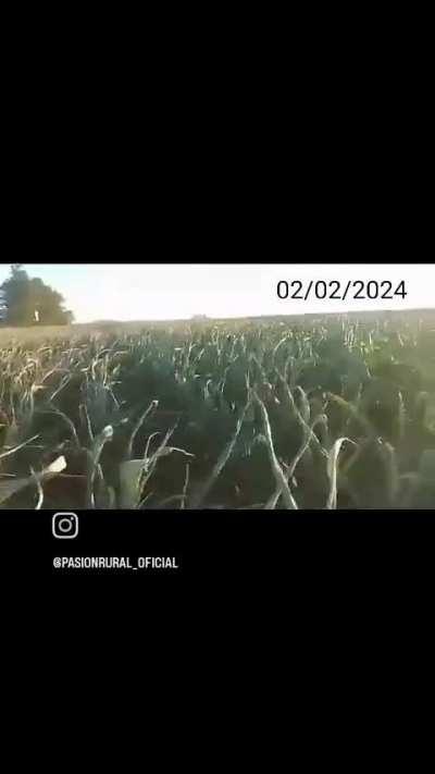 Cordobés denuncia qué están manipulando el clima para que no llueva 