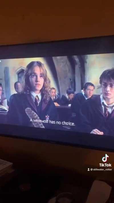 werewolfanardo davinci