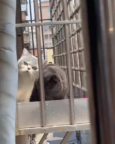 Maybe they think you’re the nosy one, not them. 😂