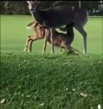 Golfer is not distracted