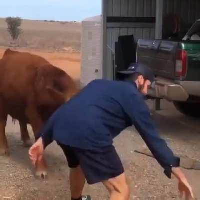 Milk Doggo plays basketball with 'heiferend'