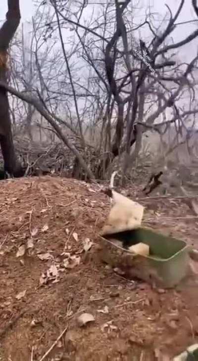 POV & real sound - Bahkmut 'no mans land' what the AFU see & hear as they await next Russian attack