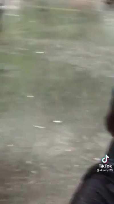 Idris Elba once again protects humanity.