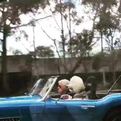 When you swap the wife for the dog