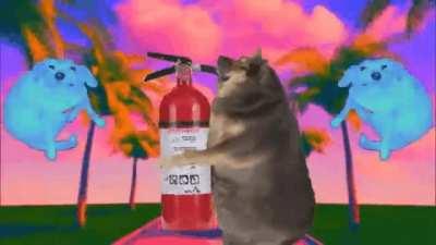 Teacher: why are you laughin? My brain: