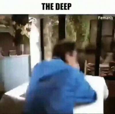 Animal king players when