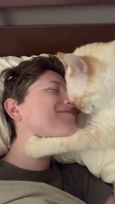 Sweet Cat wants Nose Kisses!!