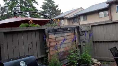 Crazy hailstorm in Calgary right now