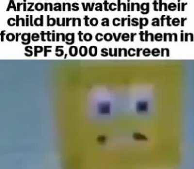 Average day in arizona