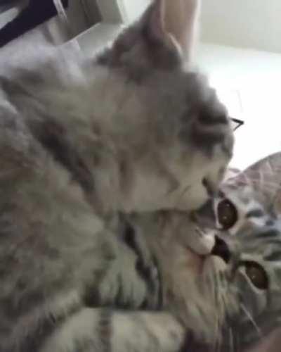 Let me clean you up... Omg you are so cute, I want to bite you