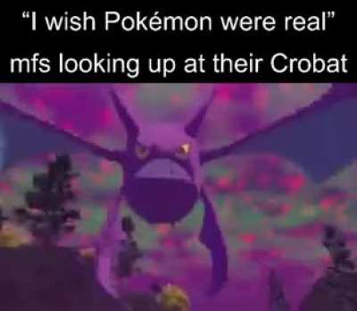 I love bats, but if one could reach eye level with me I would scream and cry