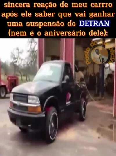 Muito fofinho meu pet🥰🤣🤣🤣🤣🤣