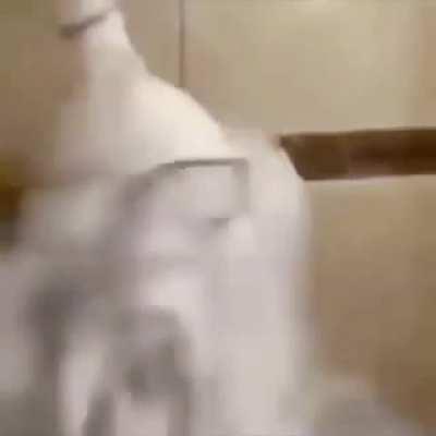 An interesting title