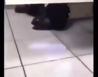 It's just a prank bro