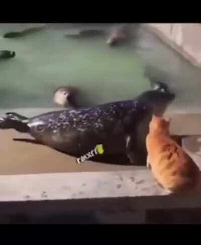 😂😂😂😂😂😂