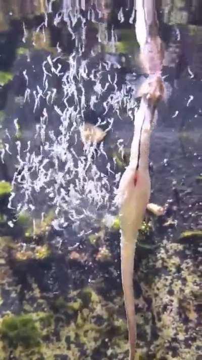 Welcome to the world 😂