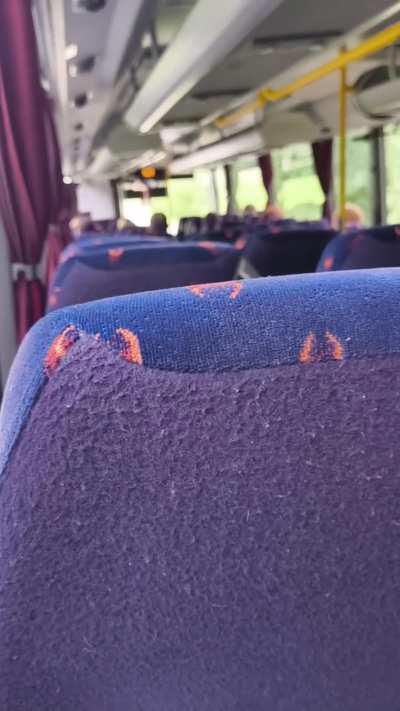 Spicing up bus rides with a little surprise 😉 Who knew travel could be so adventurous and fun! 🚌💋