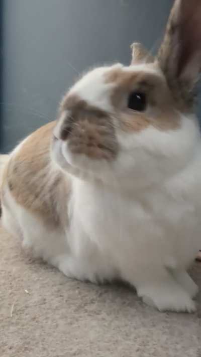 Making sure her family are all clean lol