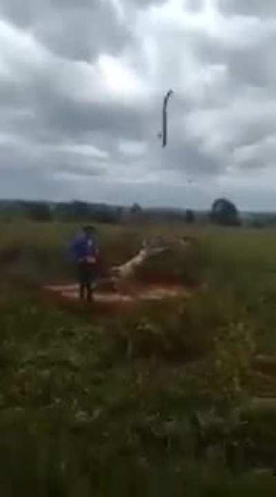 a tree strikes back the lumberjack