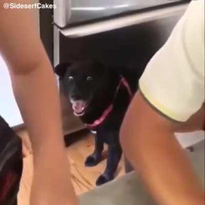 I can't get over that face! :')