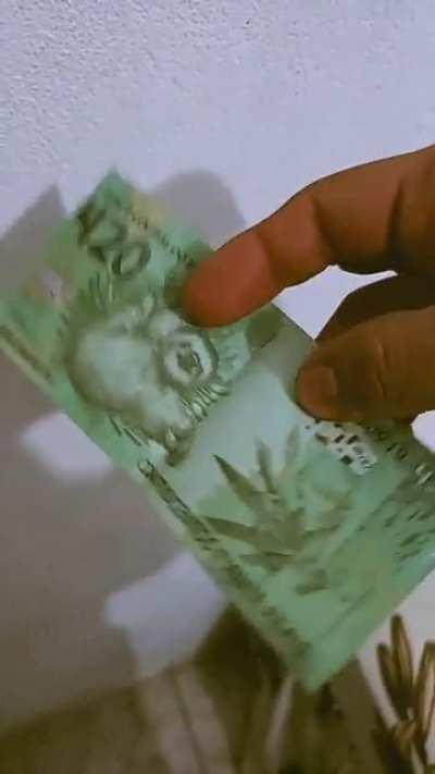 pode nota de 420 no grupo