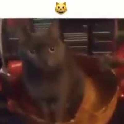 a slight overreaction