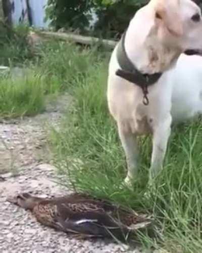 and the Oscar goes to...