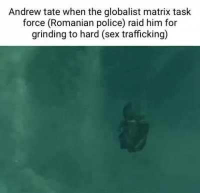 Andrew tate (andrew taint)