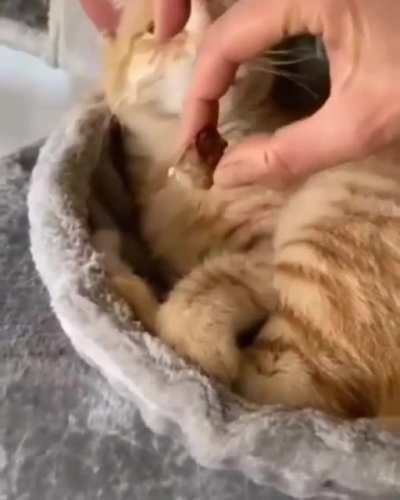 ...............foooooooooood!