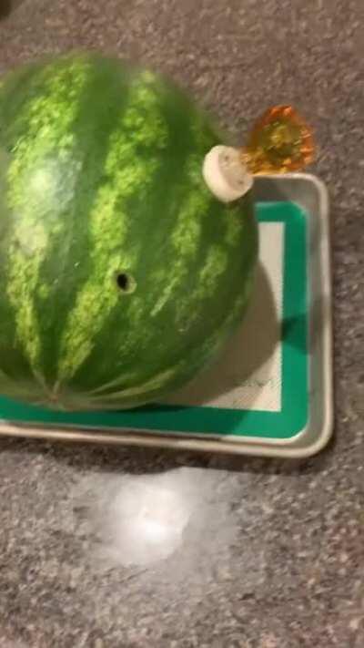 Watermelon bong - juice and all 🤤💦🙌🏼