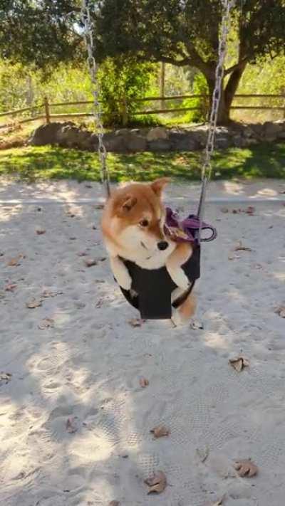 Ellie Swinging through the weekend