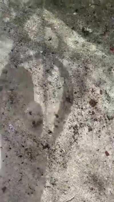 gotta protect those ears