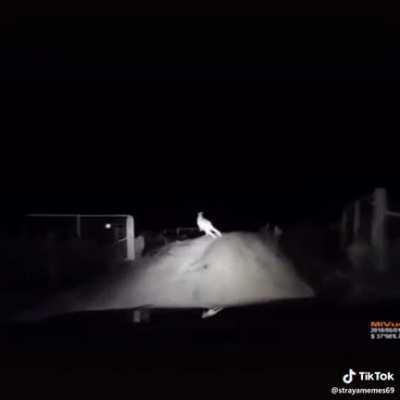 I love living in this burning shithole of a country