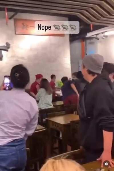 Barehanded rat removal in a restaurant