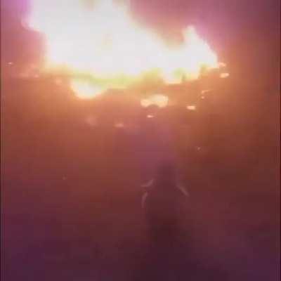 Dudes and their penguin