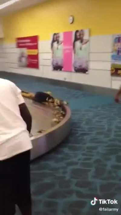 mUtANt BedBUGs BURsT FRom tOurisT's lUgGage AnD atTaCk cRoWd - No suRvIVOrS!