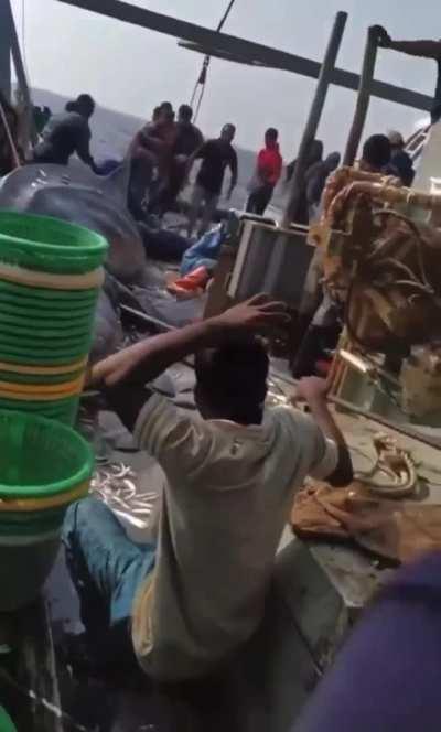 A previously caught whale shark falls and crushes 2 fishermen