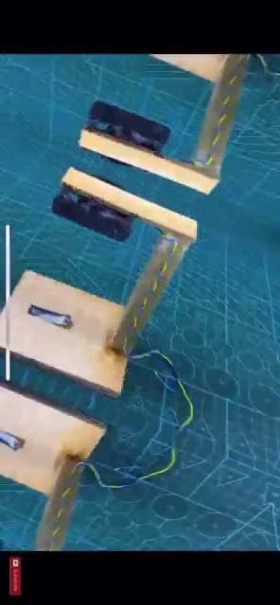 What everyone needs in their kitchen