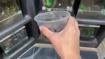 Lol the music caught me unprepared