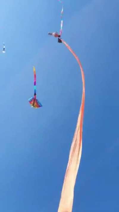 CrazyFuckingVideos - Video #6503