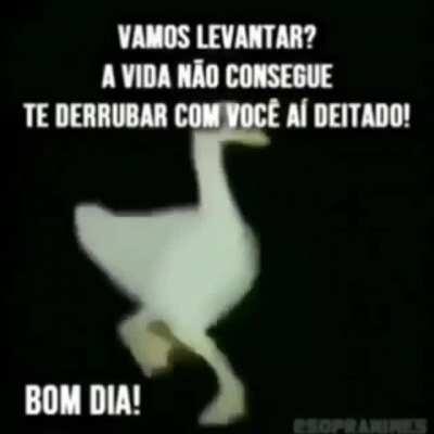 Orochisegundo - Video #4854