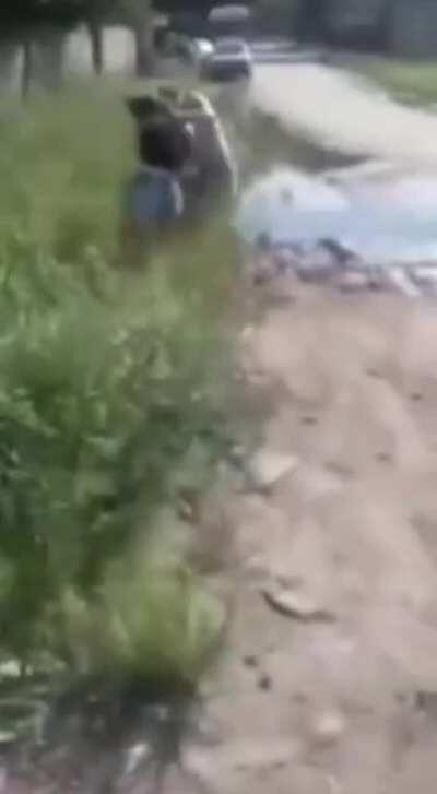 Pelea en el conurbano #6. Piñas Araceli piñas + Bonus