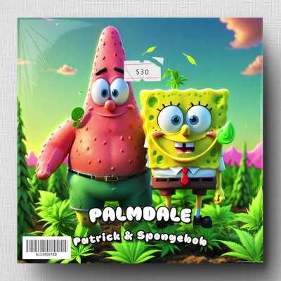 🎶 Patrick & Spongebob - Palmdale 🎶