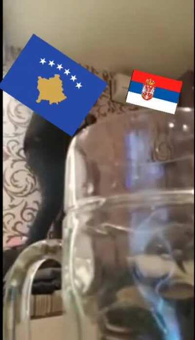 HAHAHAHAHA SHITTY POOPOO SERBIA IS KILL 🤮🤢🇷🇸🔥