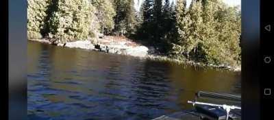 Bigfoot Sighting Ontario Canada